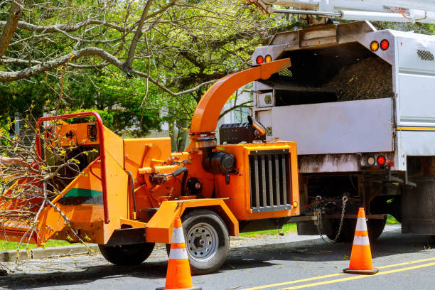 Best Commercial Tree Services  in Columbus Grove, OH